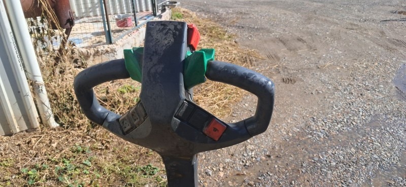 Elektro paletar