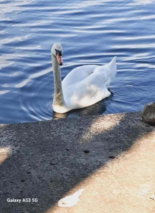 Izdaje se apartman-vikendica Ivanka,Srebrno jezero