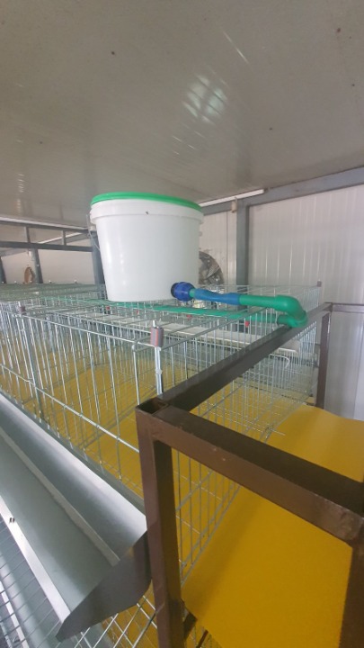 Prodaja pocinkovanih kaveza za koke, pilice i zeceve u kompletu sa hranilicama, pojilicama i plastic